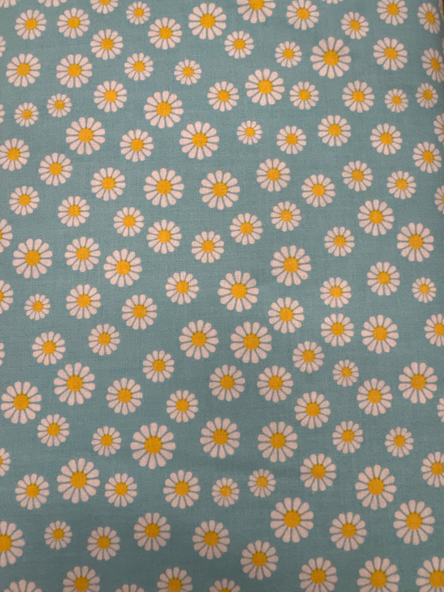 PL Aqua Daisies