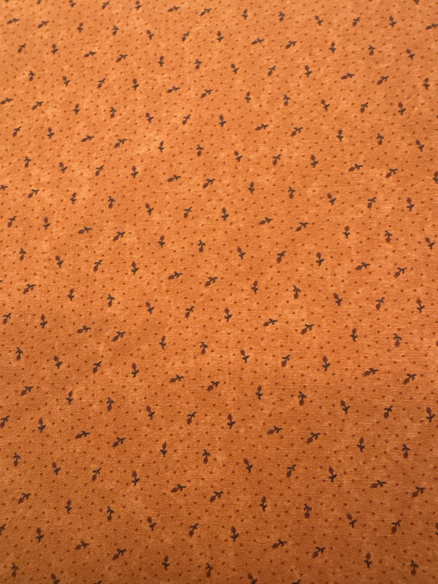 MO Daisy Lane Orange