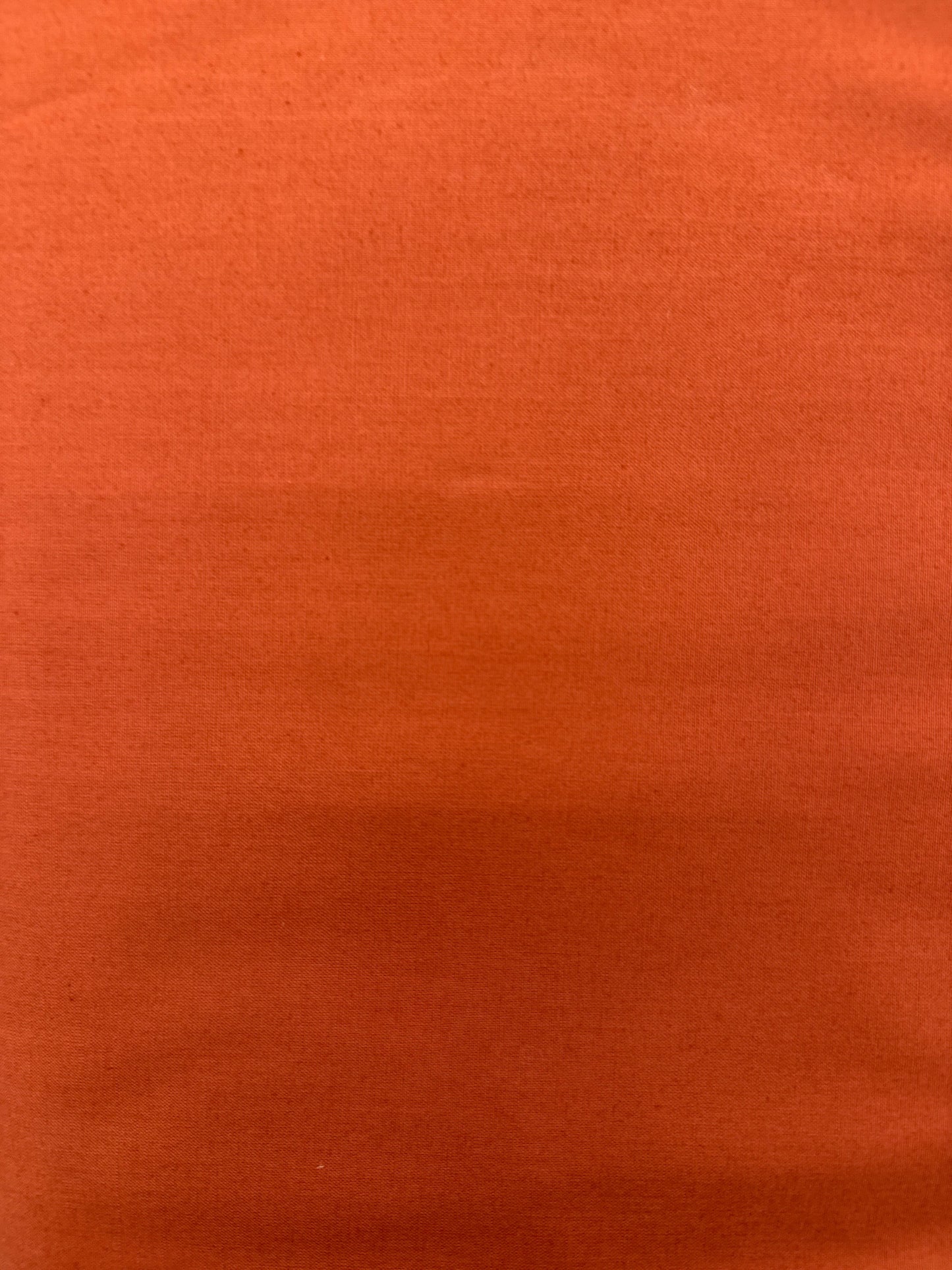 WD Ruby and Bee Solid Auburn