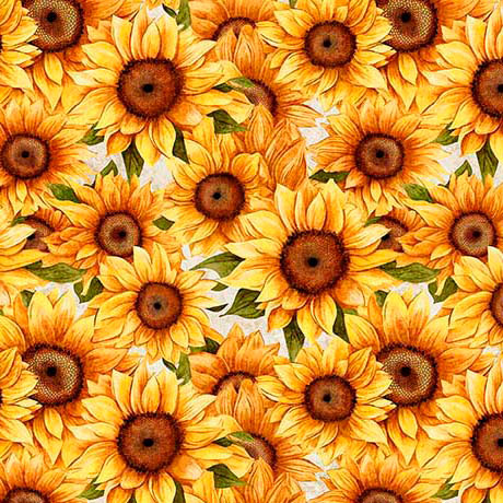White Sunflower Serenade Packed Cotton Wideback Fabric Per Yard