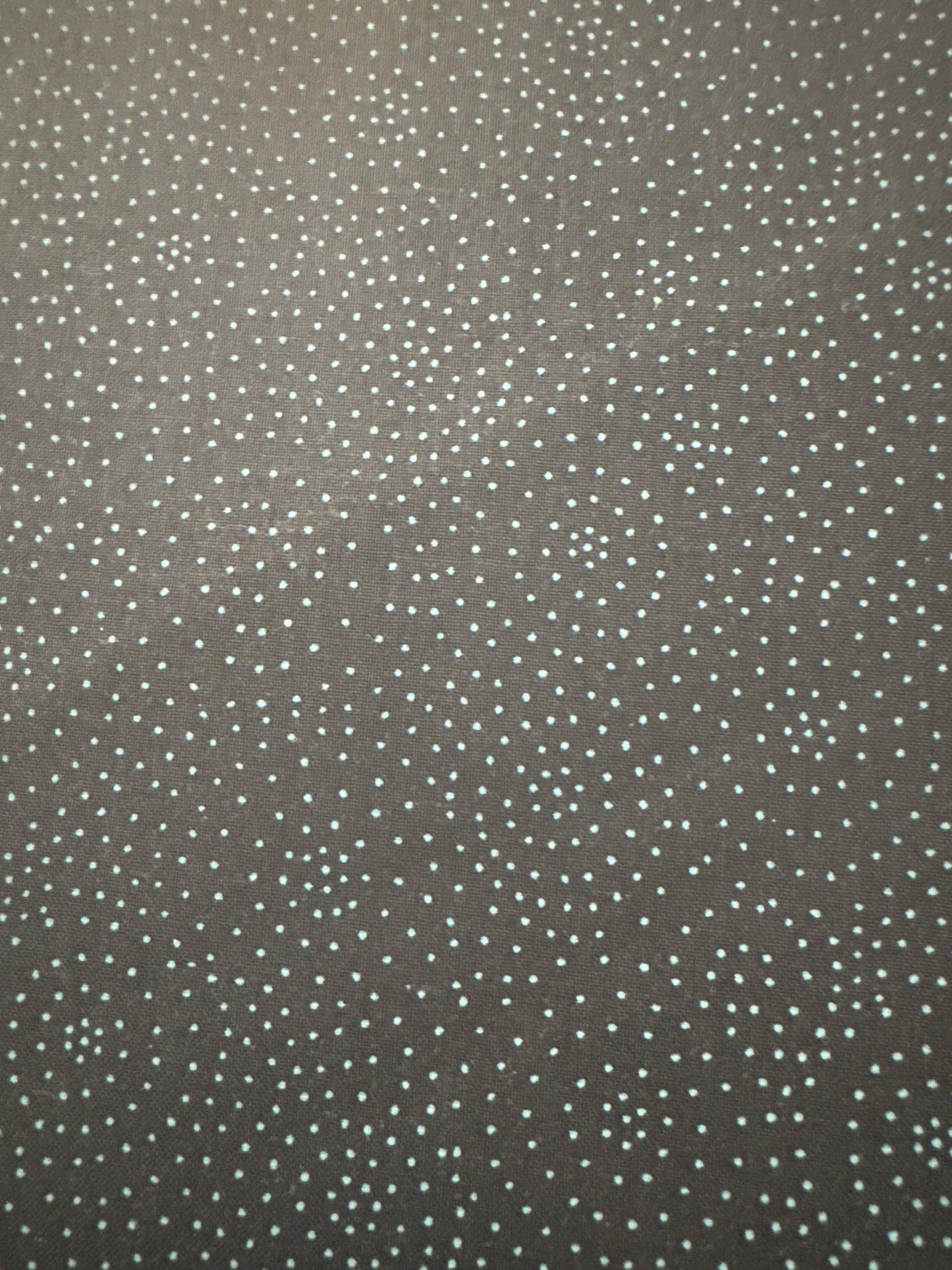 MO Quaint Cottage Blue/Black