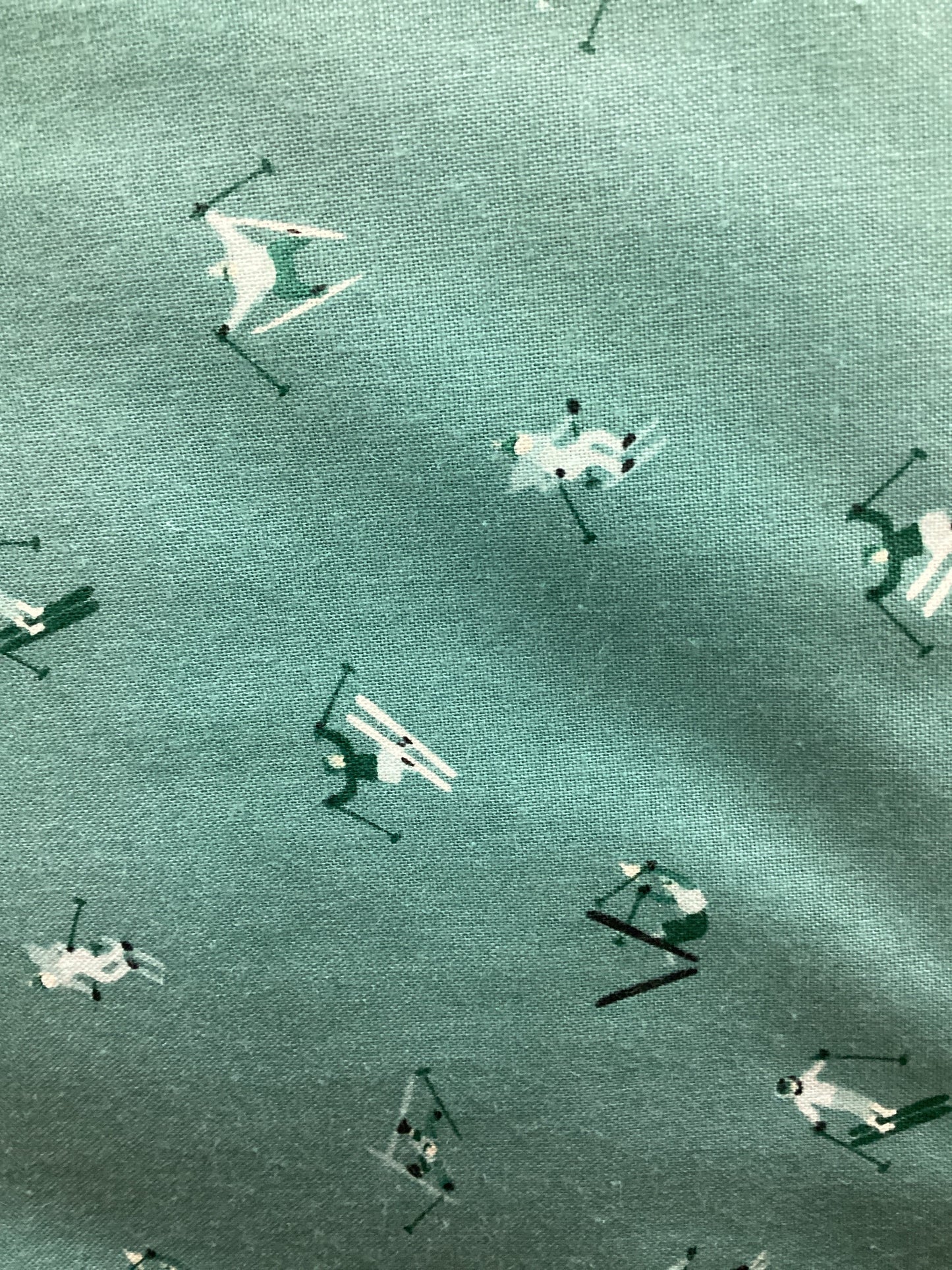 RB Teal Ski Hill Skiers C14774