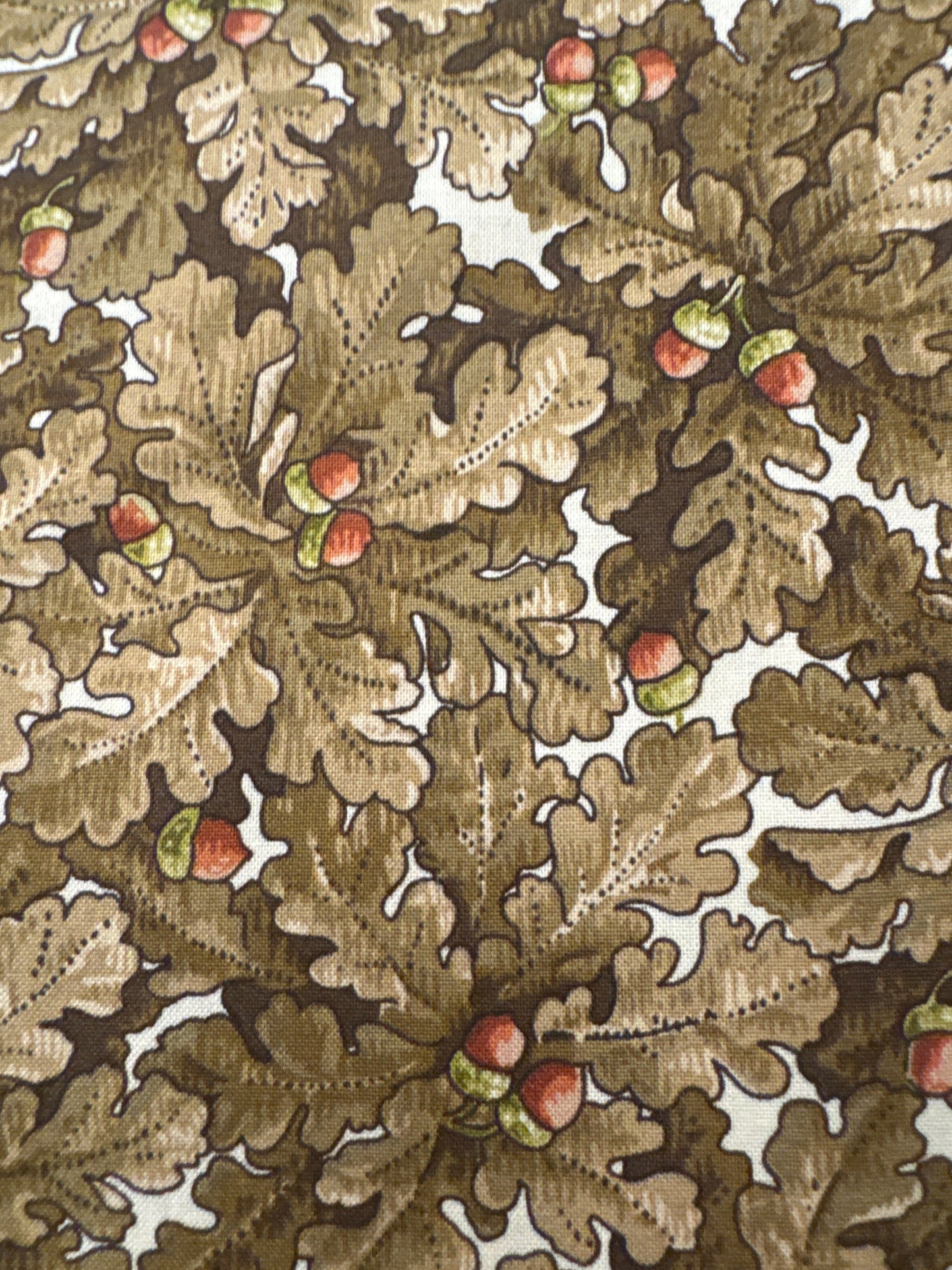 AN Autumn Woods Dried Acorn Leaves Brown