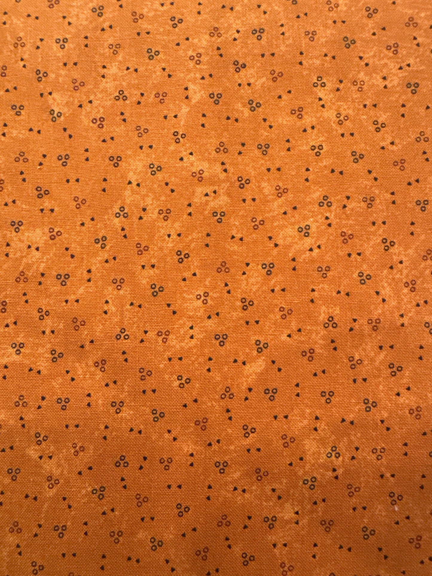 MO Back to Basics Orange