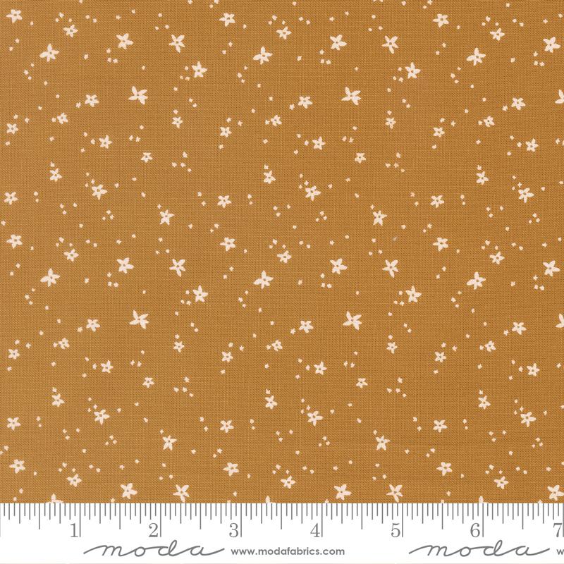MO Peachy Honey 38159 20