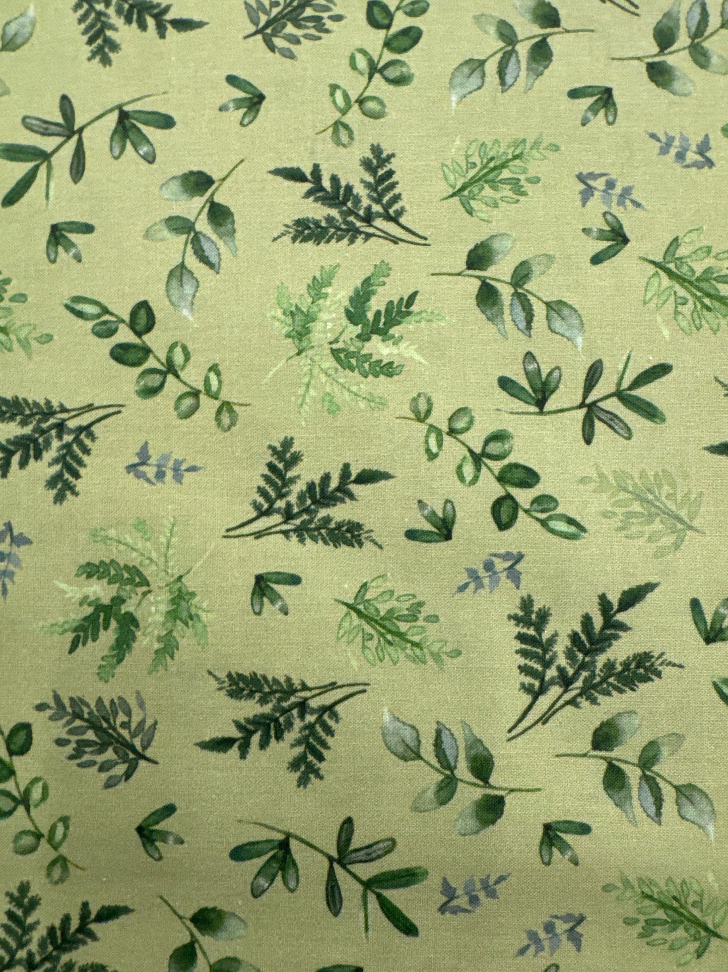 CW Wild Wonder Green