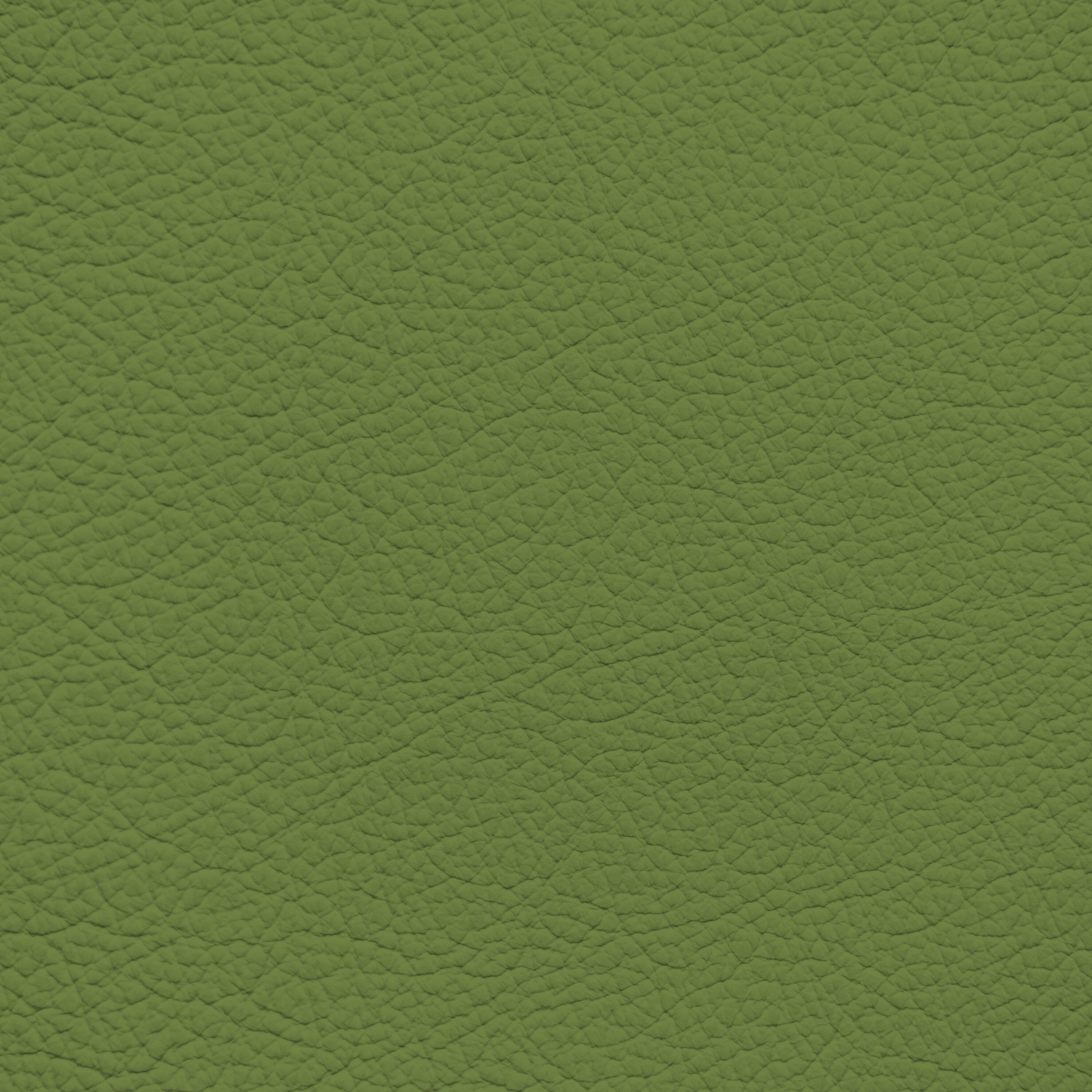 WALK101 — Army Fade