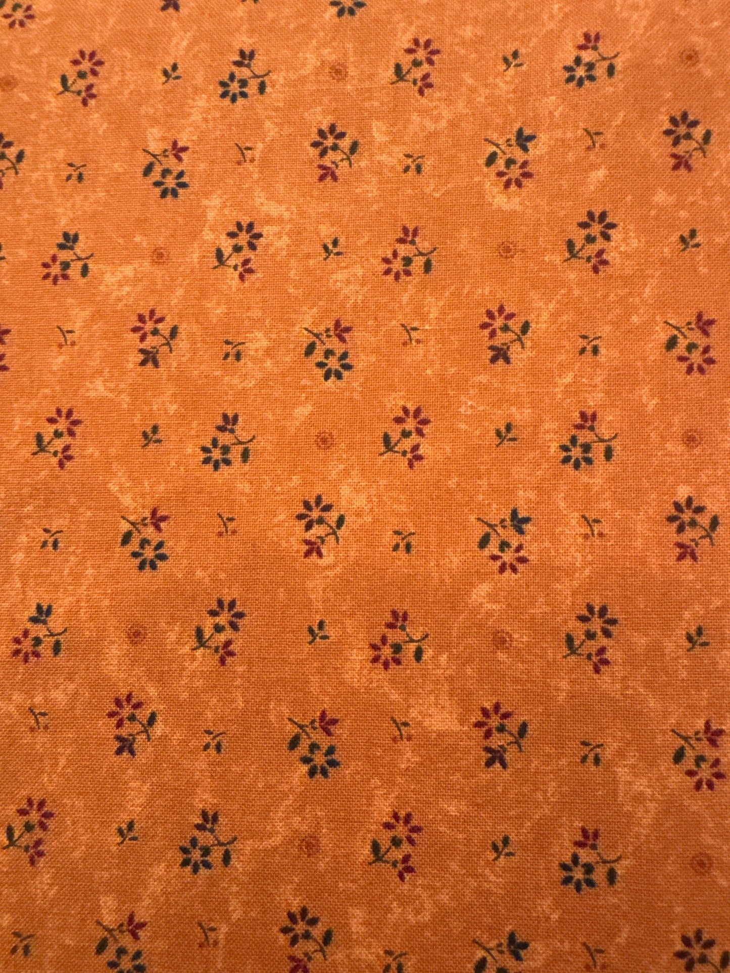 MO Hope Blossoms Spaced Out Orange