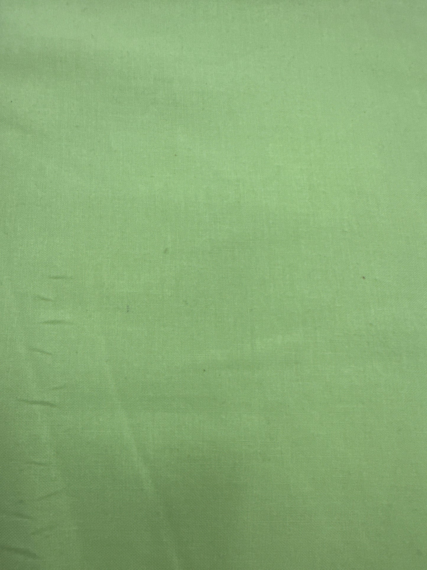 FS Designer Solid Citrus