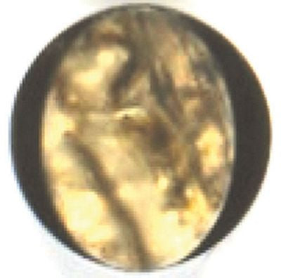 Fashion Buttons 7/8