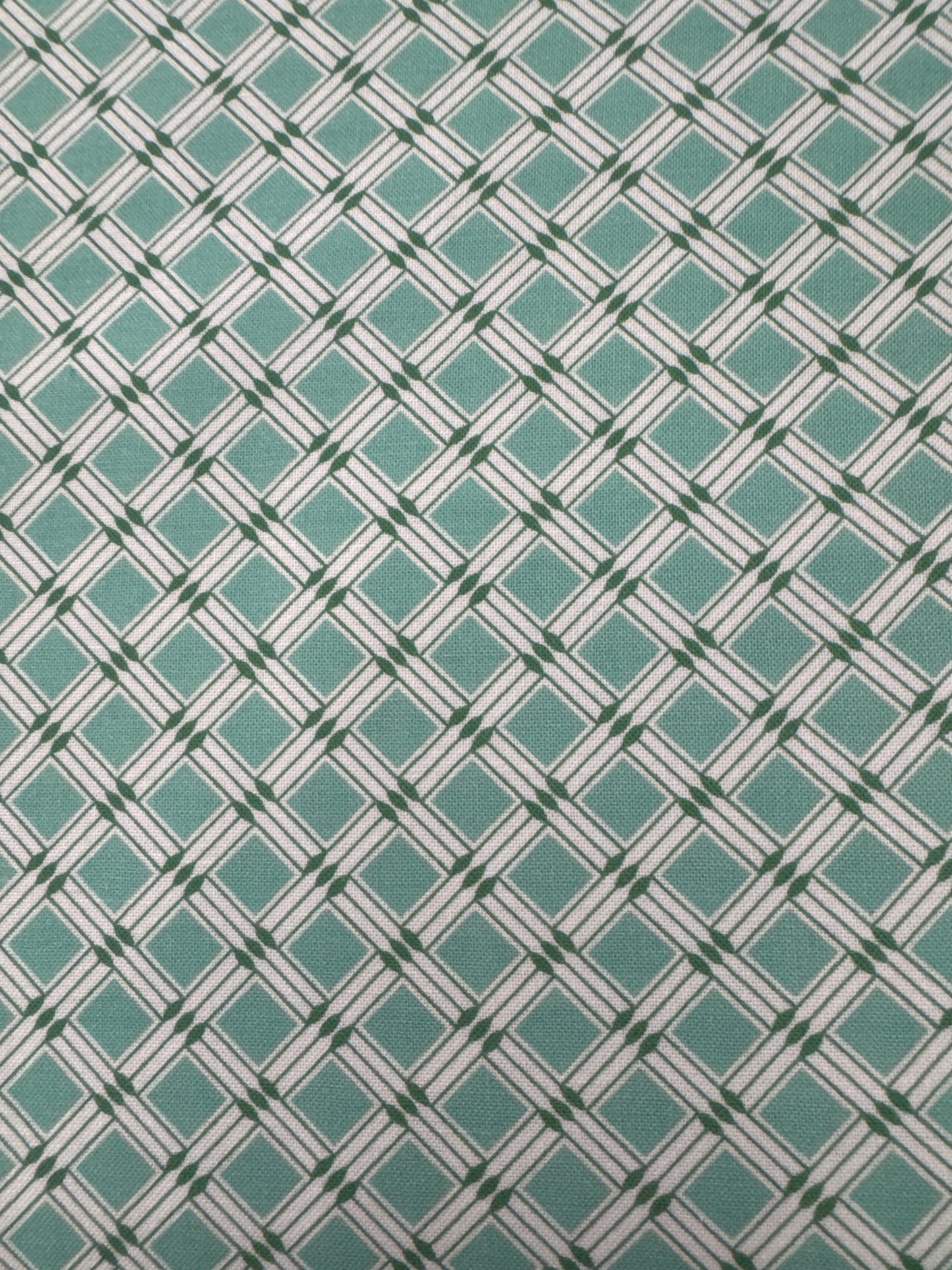 RK 1930’s Basics Aloe