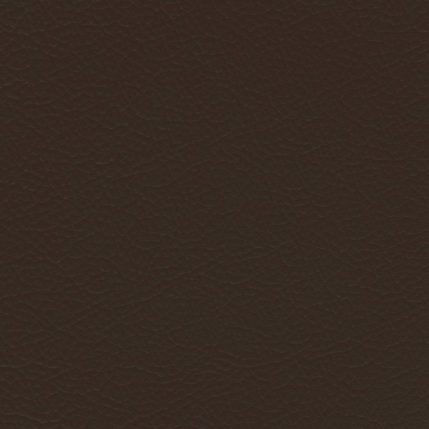 WALK101 — Dark Roast