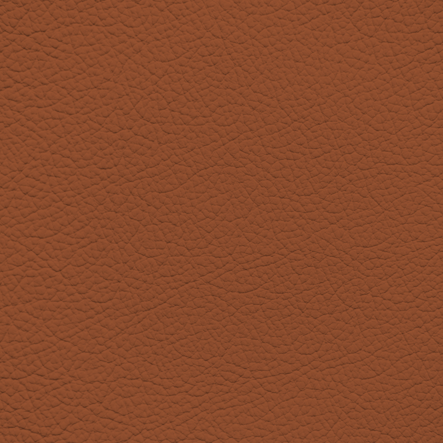 WALK101 — Desert Clay