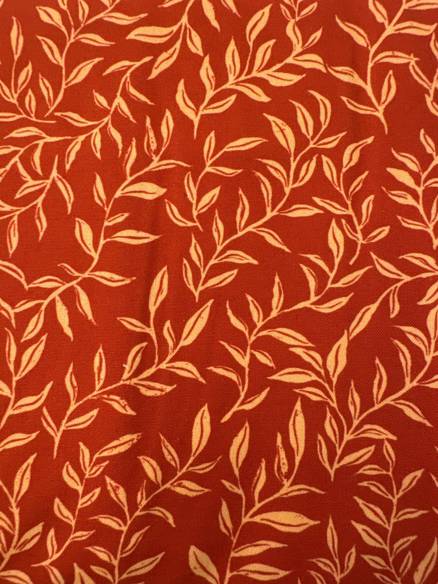 MO Cadence Red