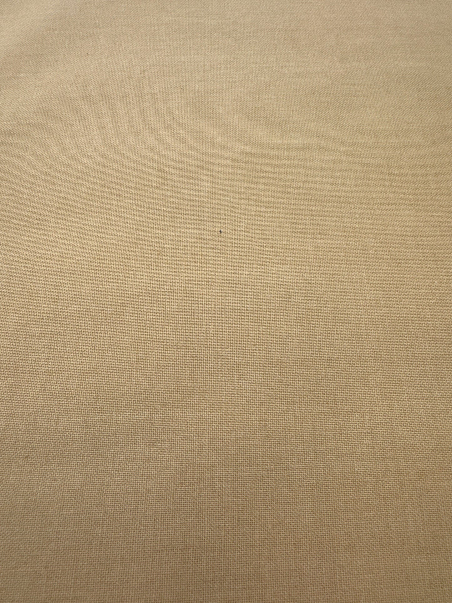 MO French General Solids Light Dijon