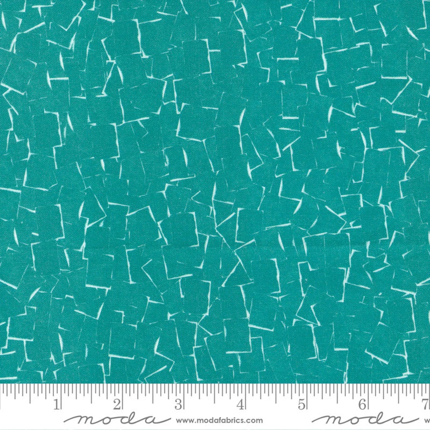 MO Bluebell Teal Shadowgraph