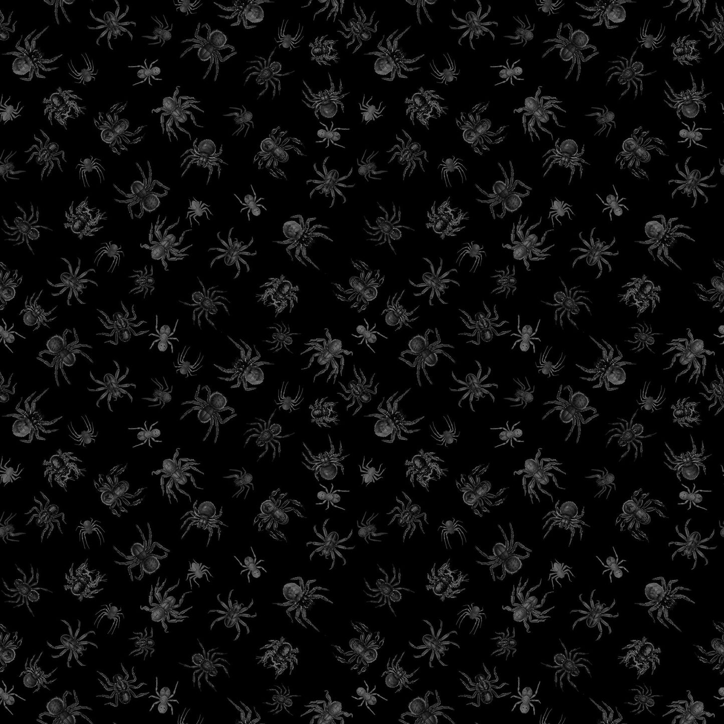 QT Spider Toss Creepsville 2600-30207-J