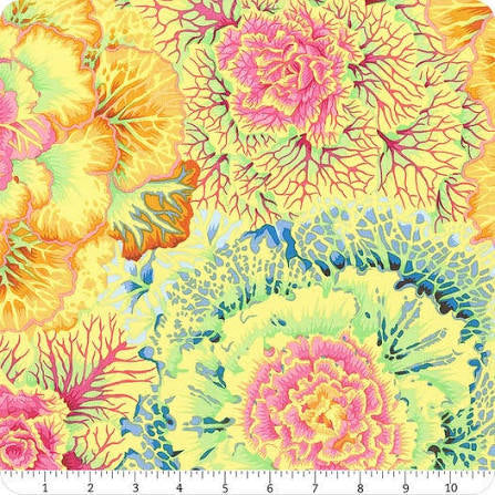 FS K. Fassett Brassica Yellow