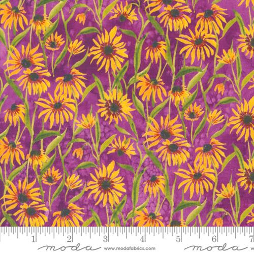 MO Floribunda Create Joy Project