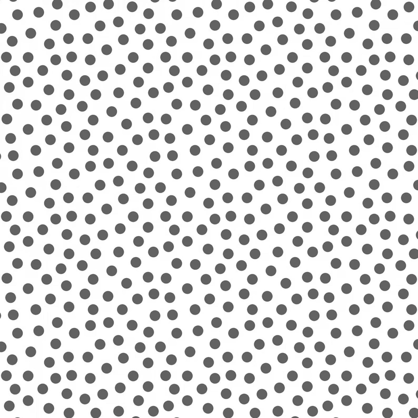 WL On the Dot White/Grey