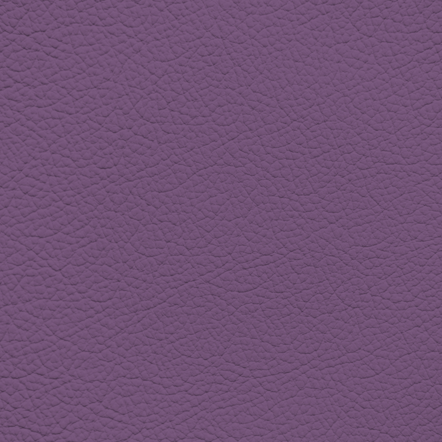 WALK101 — Mauve Mist