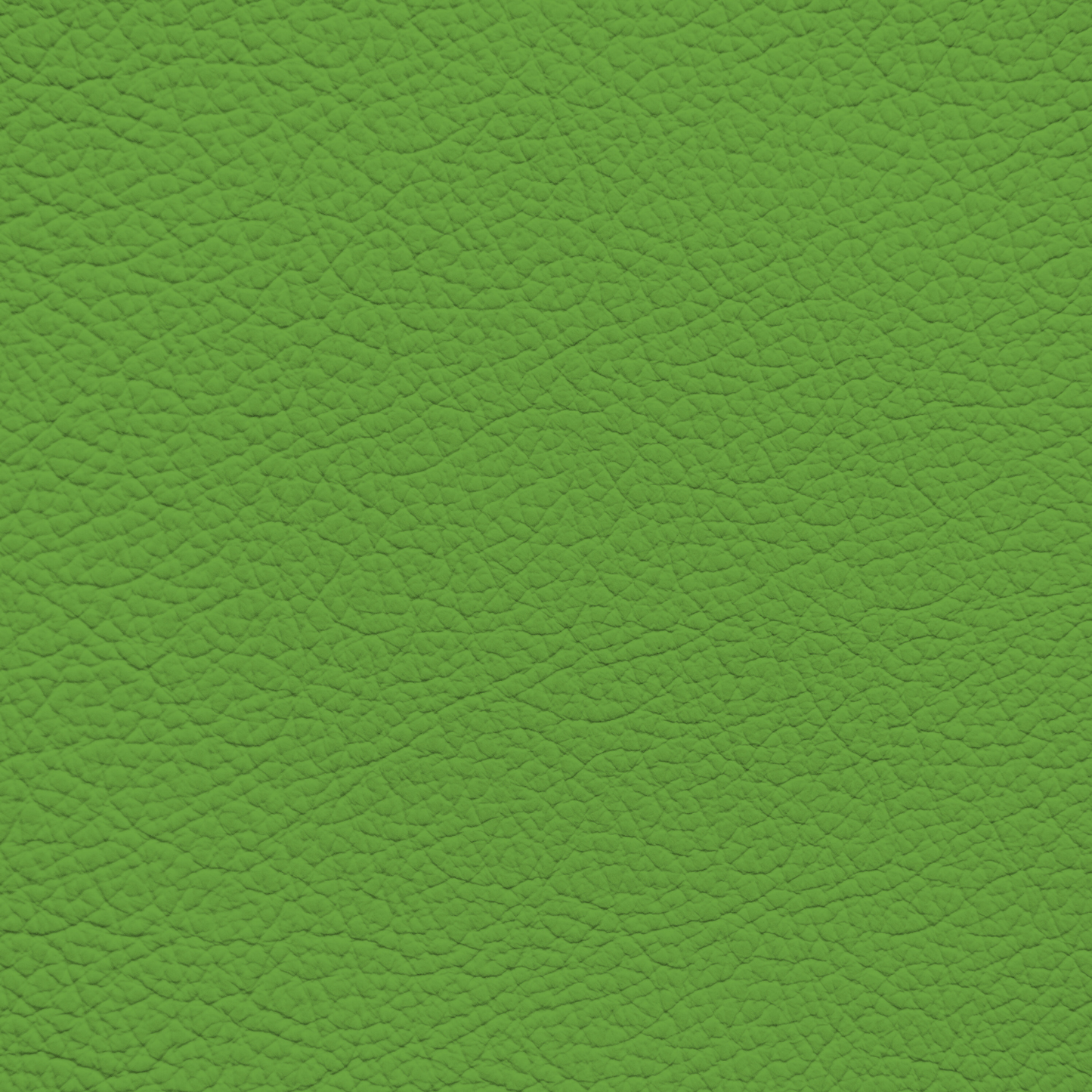 WALK101 — Moss