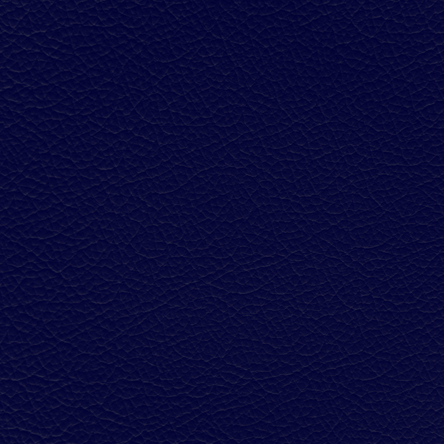 WALK101 — Navy Fade