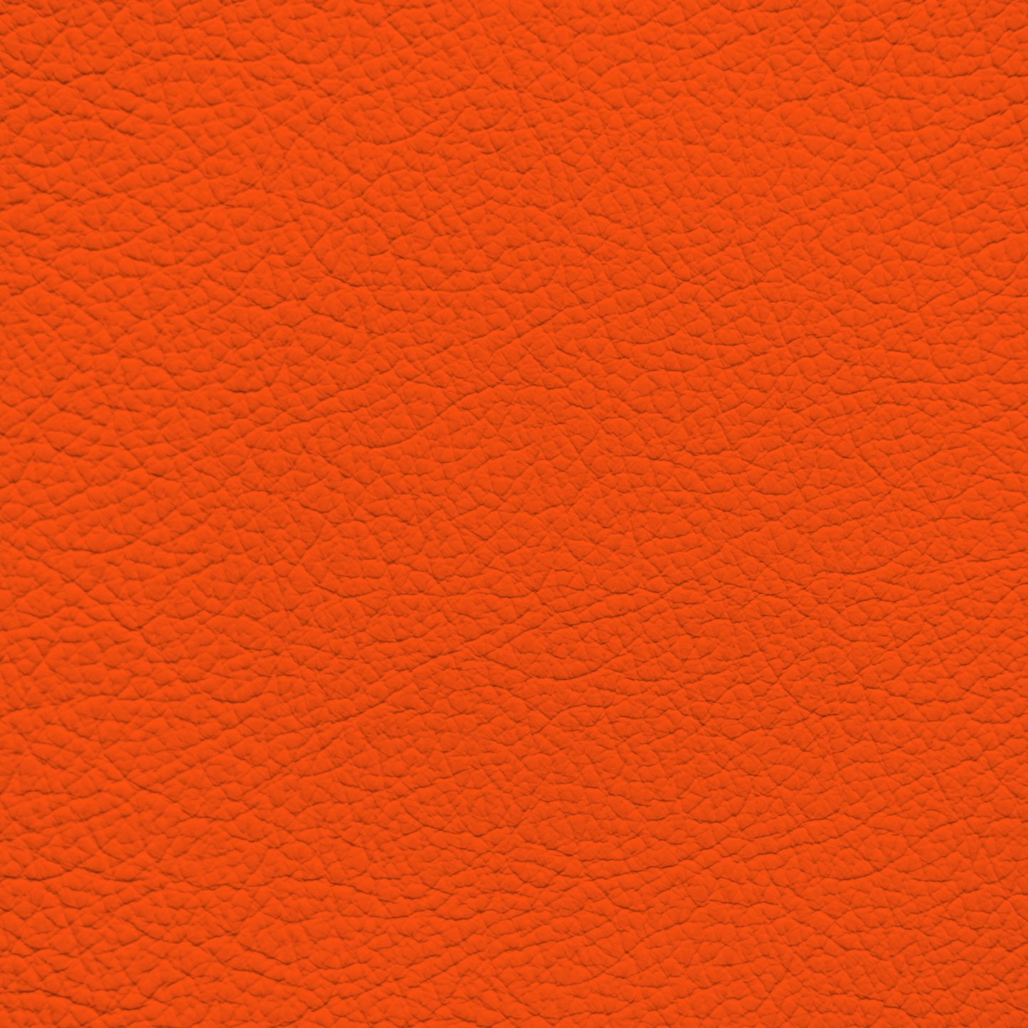 WALK101 — Orange Pop