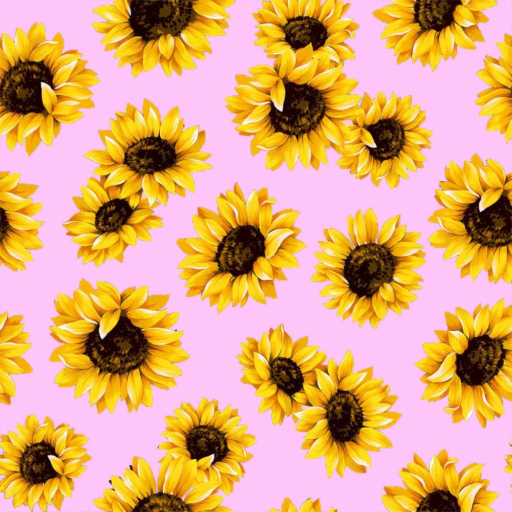 Pink Sunflower Dance 45" wide Fabric per yard