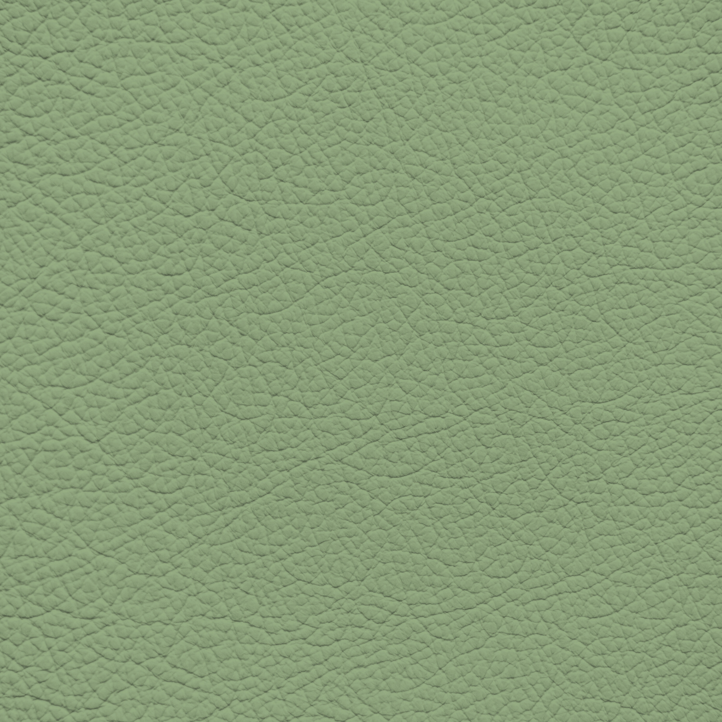 WALK101 — Sage