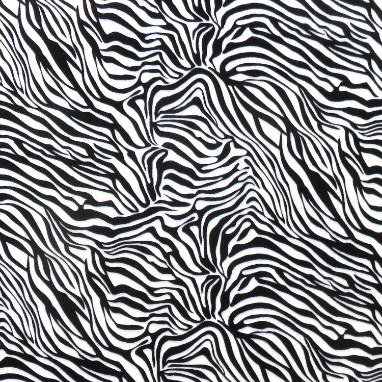TT Wild Zebra C8911