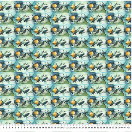 NC Raven's Call Boarder Stripe Teal Multi