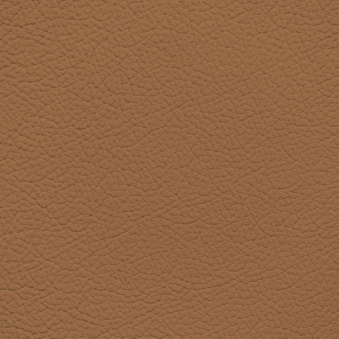 WALK101 — Tan Fade