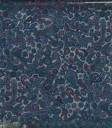 MS Seashell Dreaming Blue