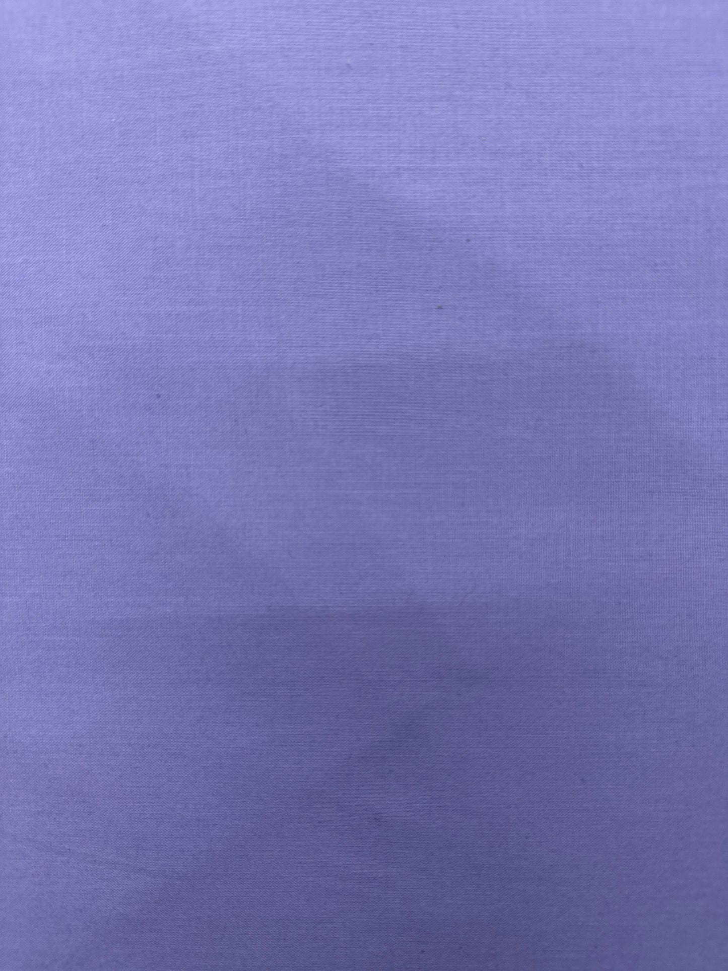 WD Ruby and Bee Purple