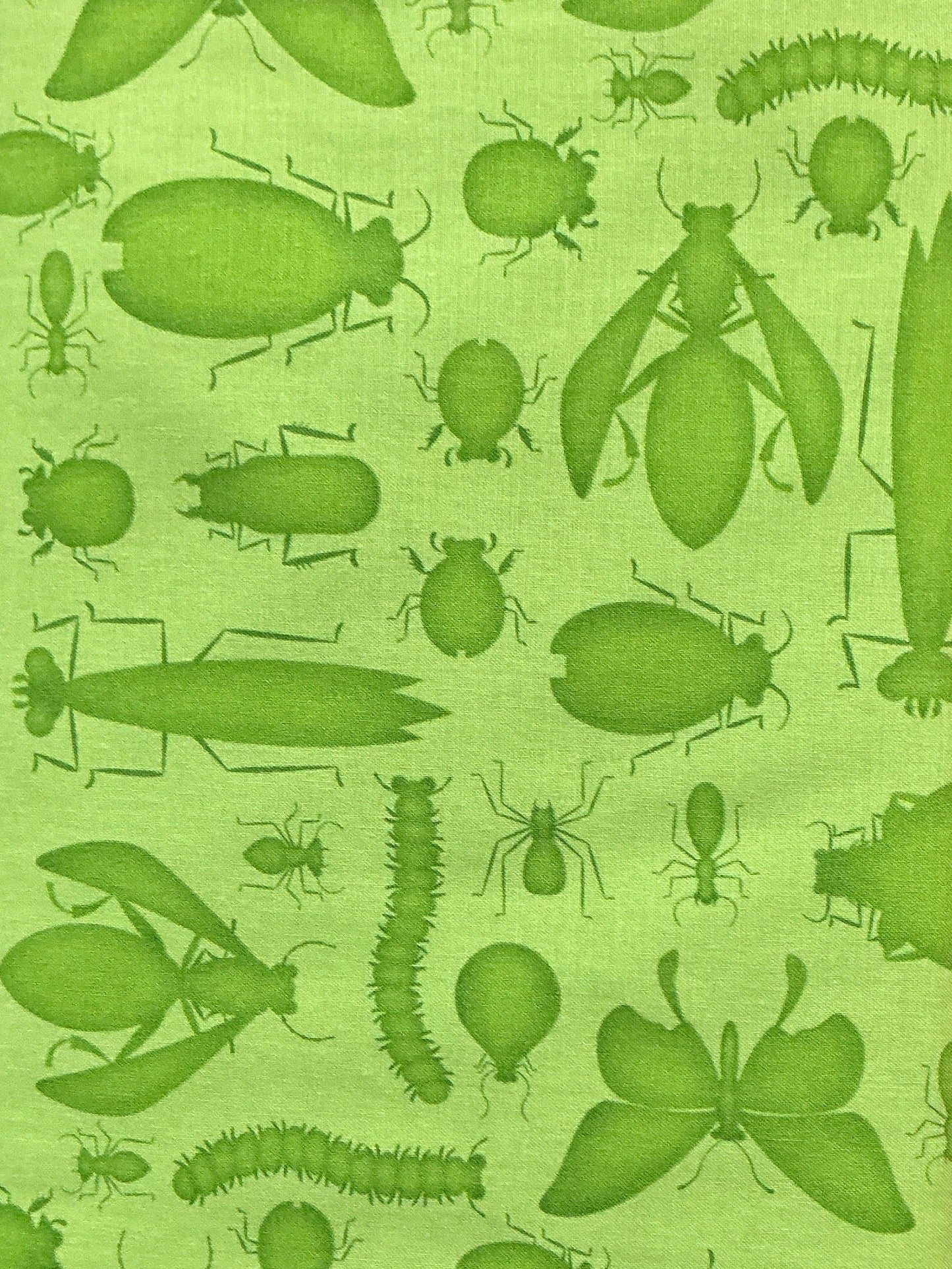 HG Green Bug,Bug, Bug-Tim Read 3256-66