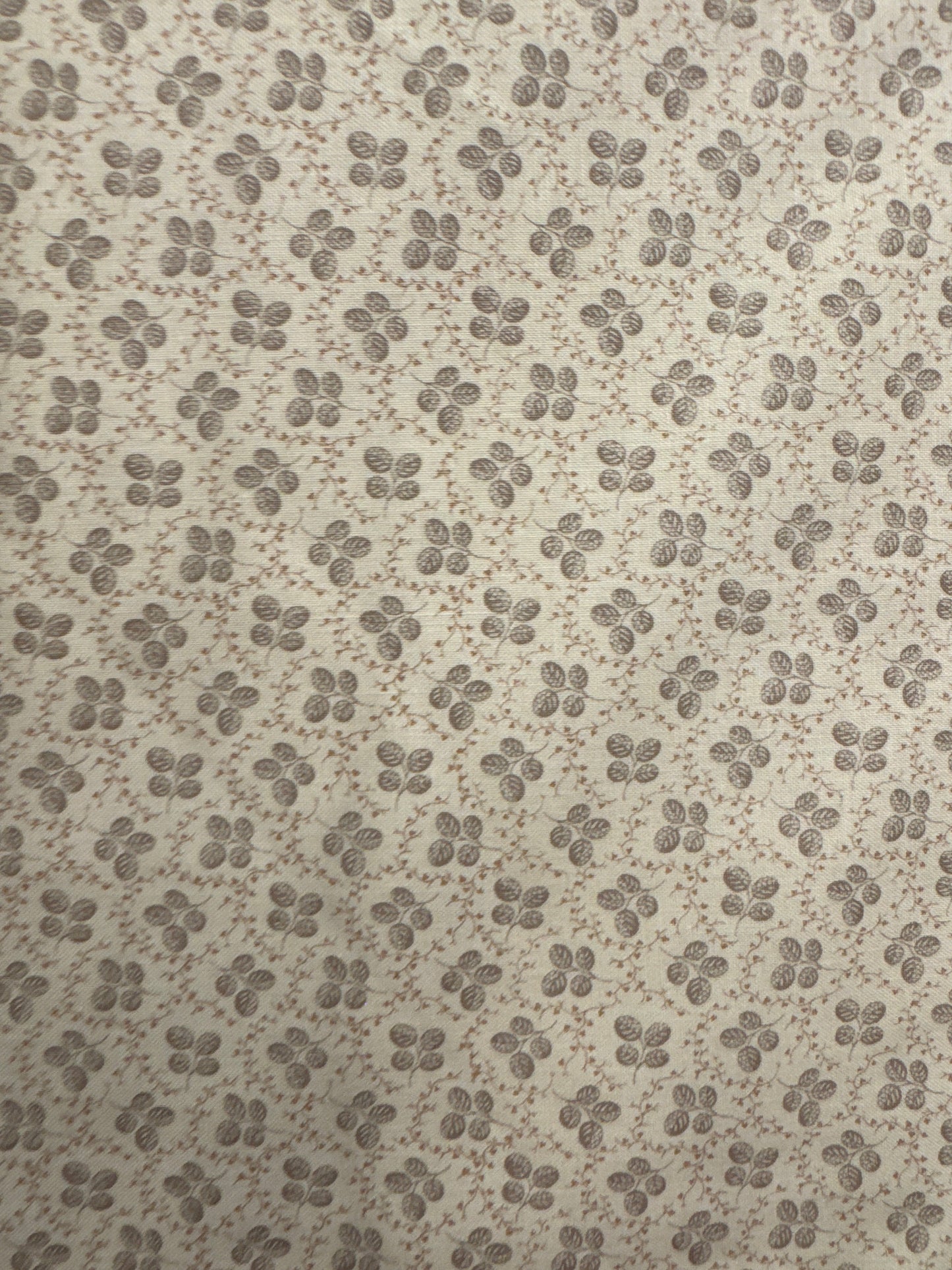 MO French General Chateau De Chantilly Taupe and Cream