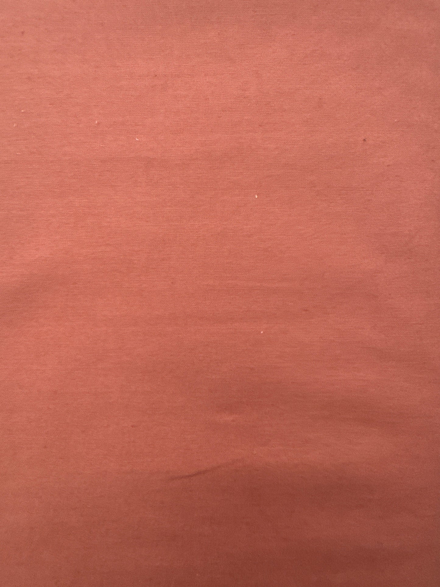 WD Ruby and Bee Solids Rose