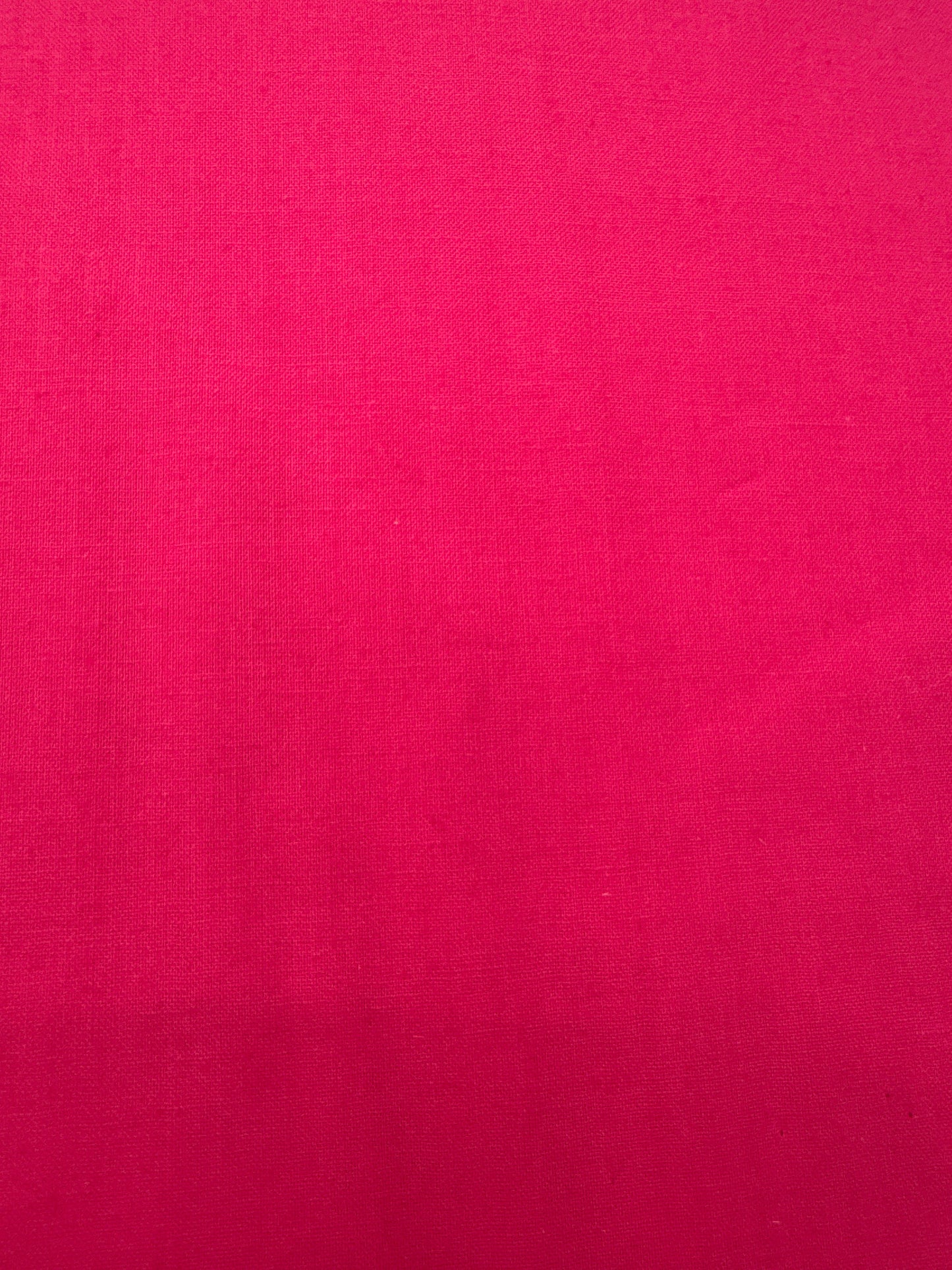 WD Ruby and Bee Hot Pink