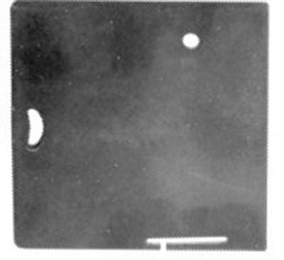Slide Plate Singer 111 Outside