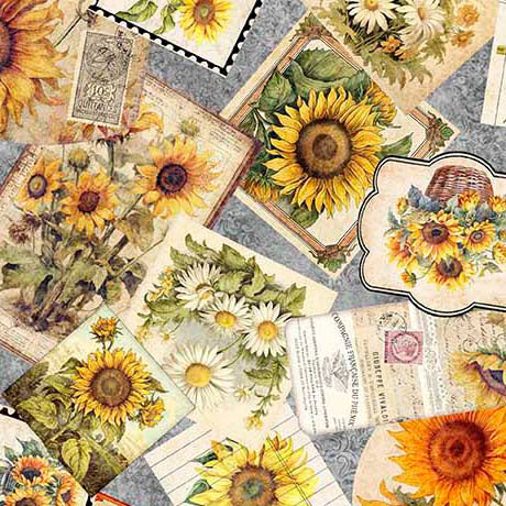 Gray Sunflower Serenade Ephemera Cotton 44"/45" Fabric Per Yard