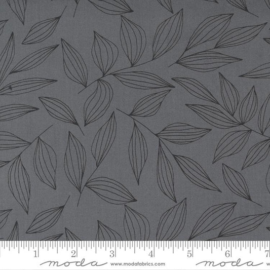MO Create Graphite