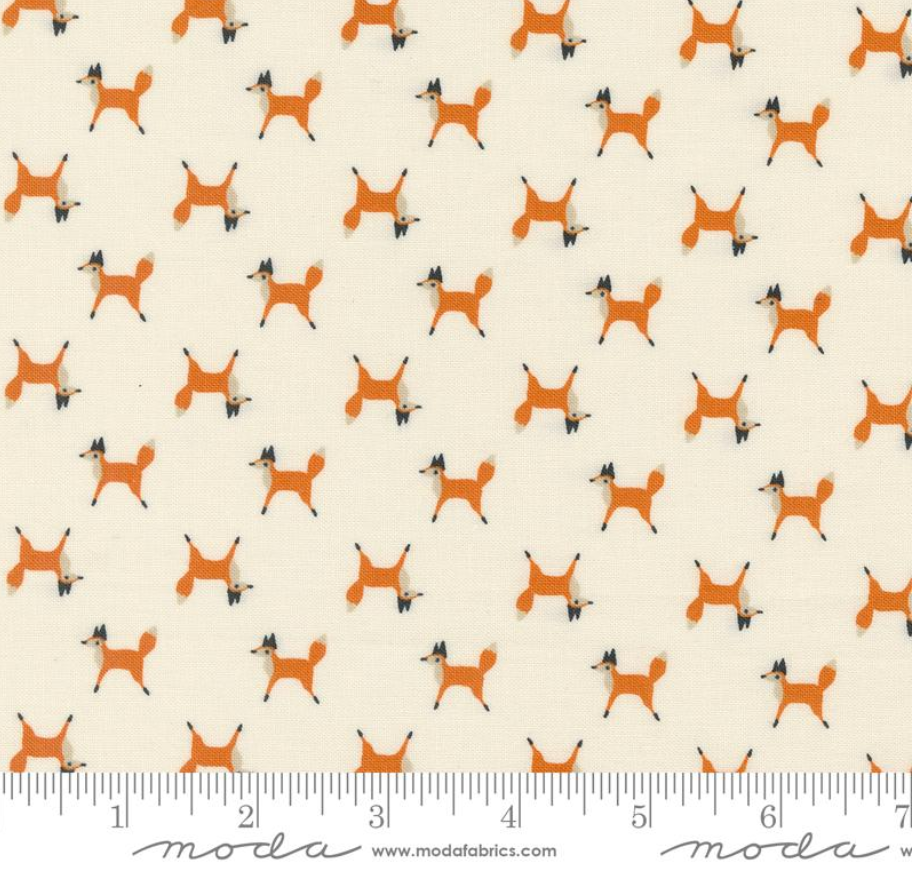 MO Woodland Wonder Sky 48394 11