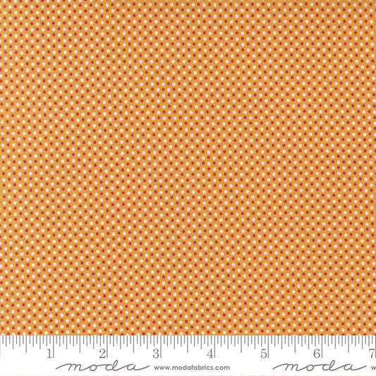 MO Graze Dots Sunshine