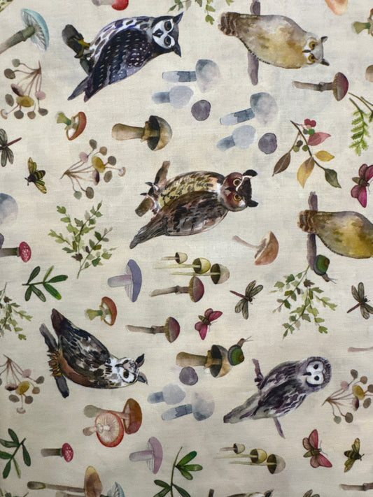 CW Wild Wonder Owls and Mushrooms