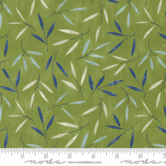 MO Collage Leaf 16953 14
