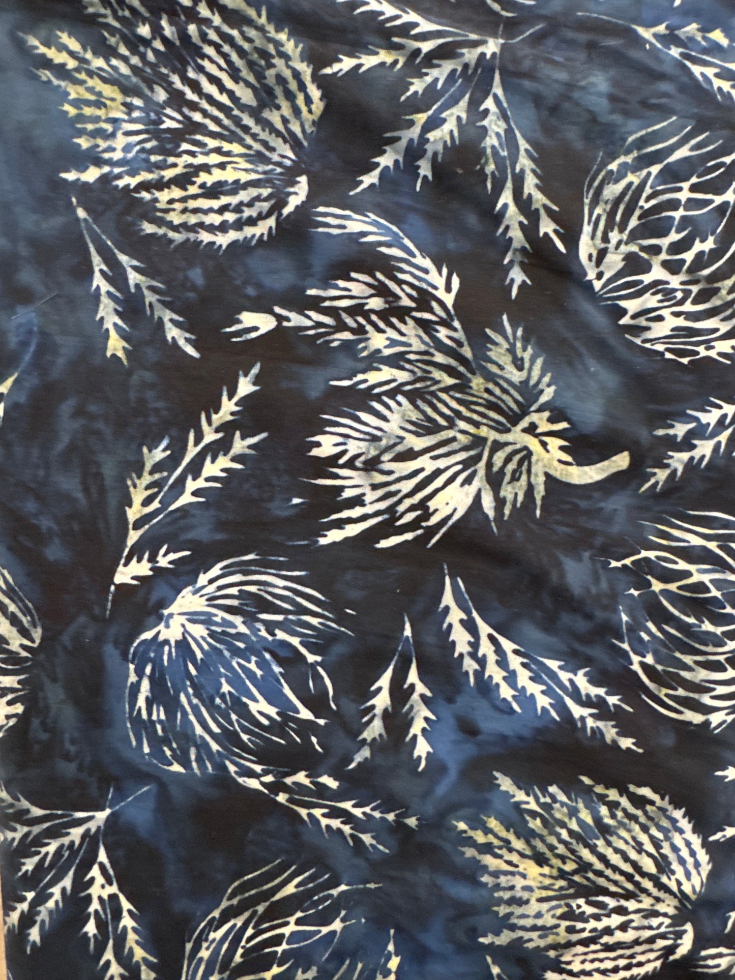 HO Branches on Navy