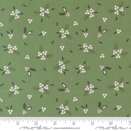 MO Starberry Green 29182 13