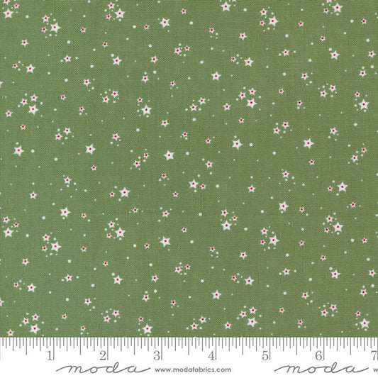 MO Starberry Green 29187 23