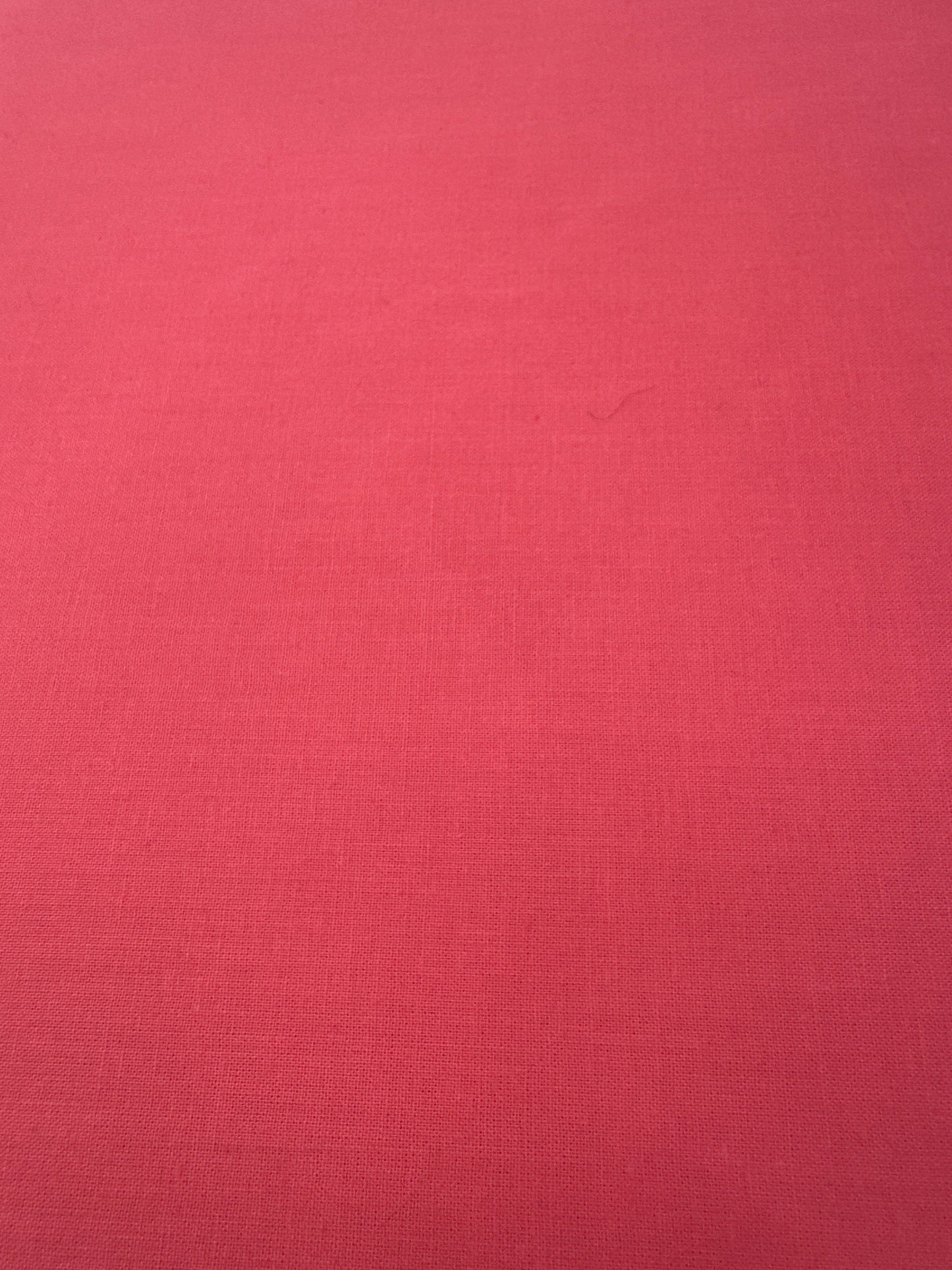 WD Ruby and Bee Bright Pink